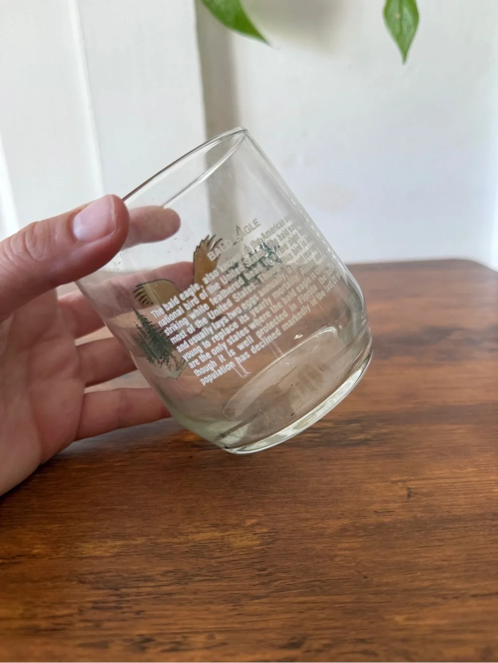 Eagle Glass Tumbler with Forest Scene
